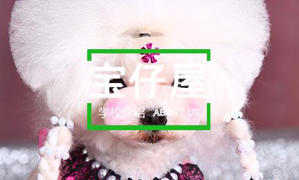 宝仔屋宠物美容